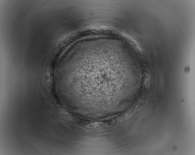 X0000102460966200808221615