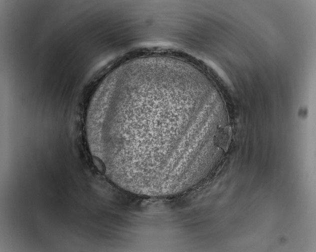 X0000102460967200808221615