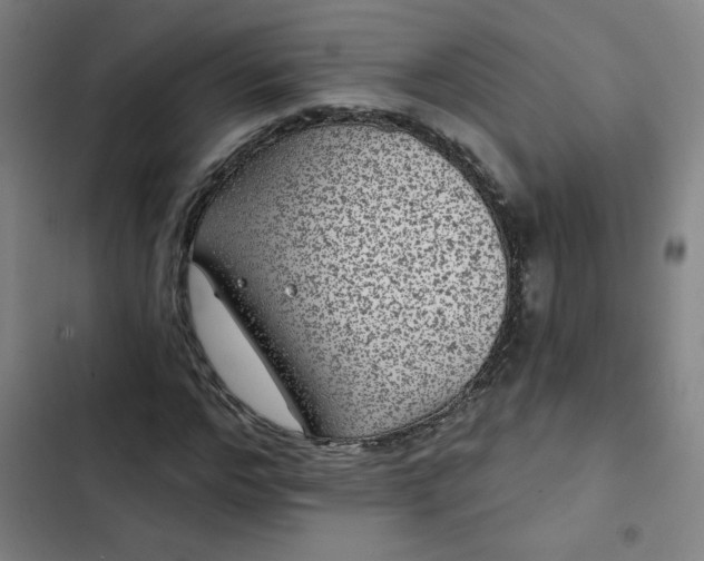 X0000102460968200808221615