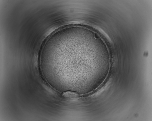 X0000102460969200808221615