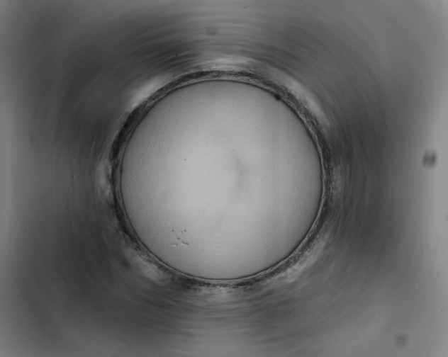 X0000102460970200808221615