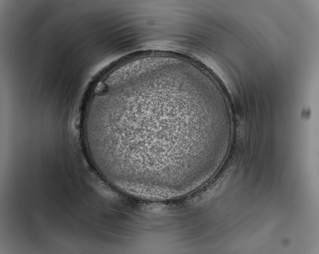 X0000102460971200808221615