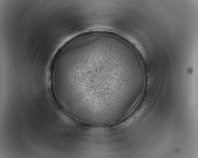 X0000102460973200808221615