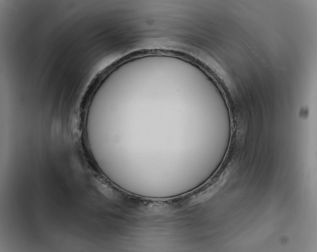 X0000102460974200808221615