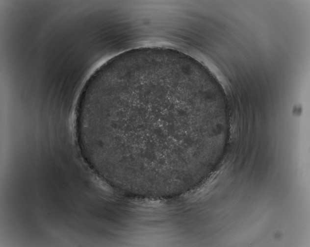 X0000102460975200808221615