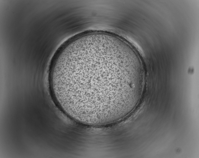 X0000102460976200808221615