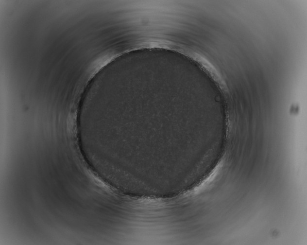 X0000102460977200808221615