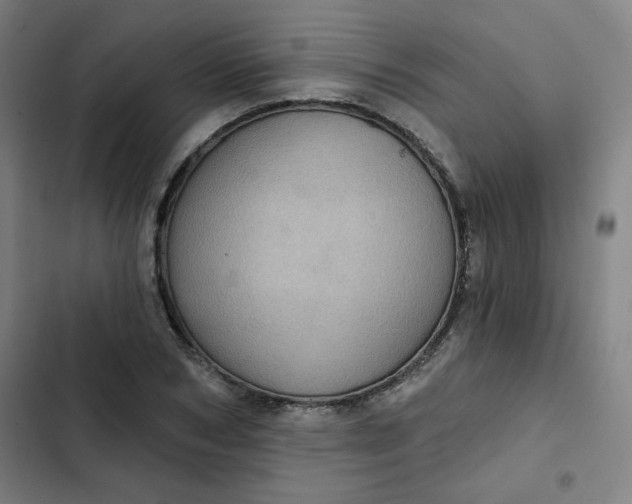 X0000102460978200808221615