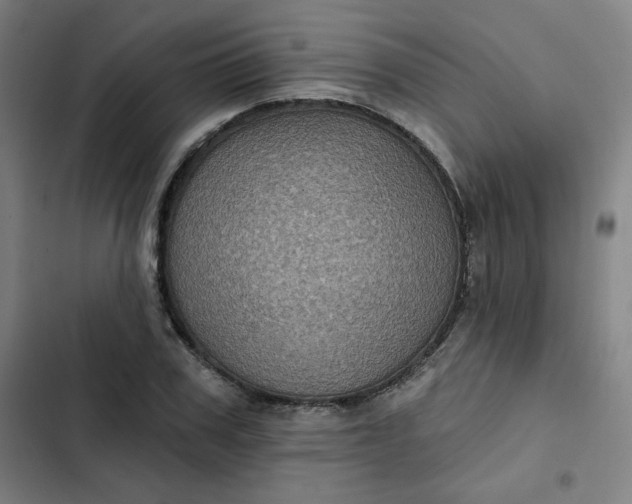 X0000102460979200808221615