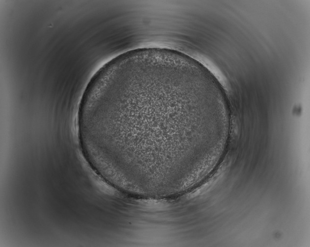 X0000102460980200808221615