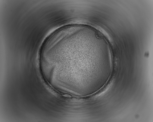 X0000102460981200808221615