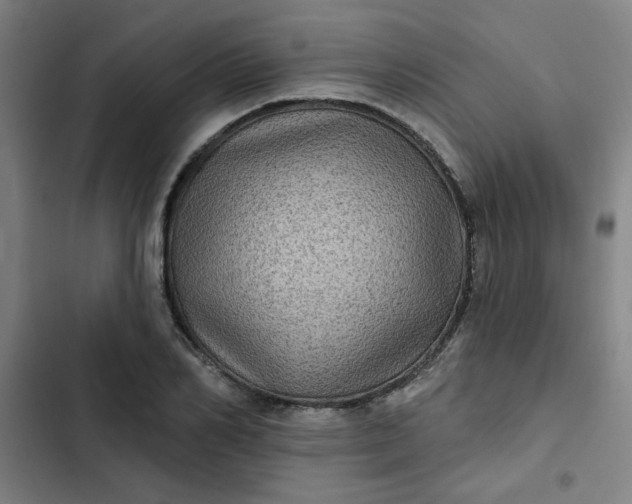 X0000102460982200808221615