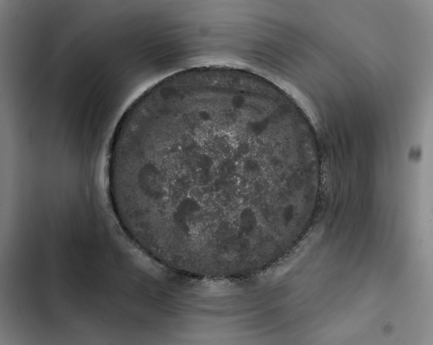 X0000102460983200808221615