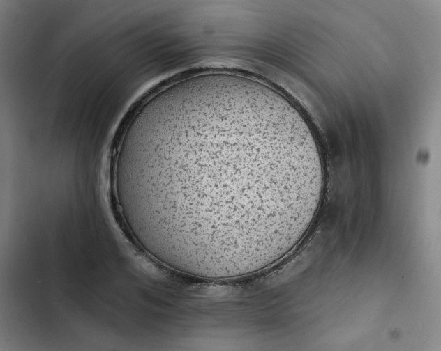 X0000102460984200808221615