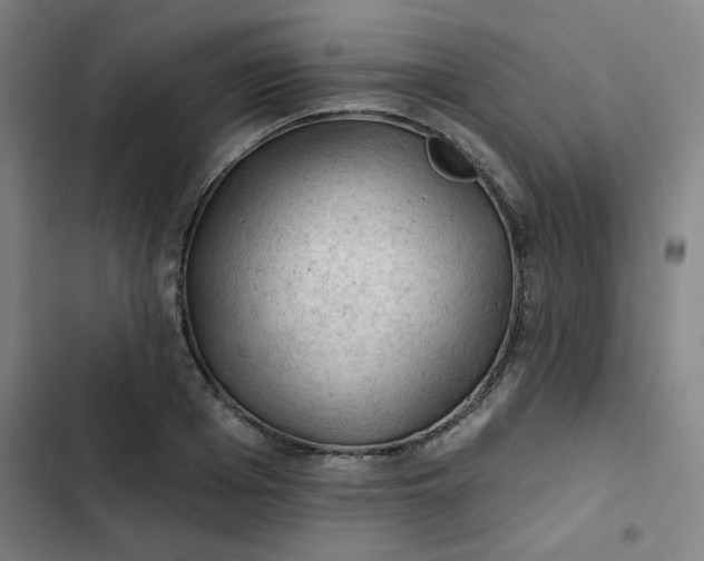 X0000102460985200808221615