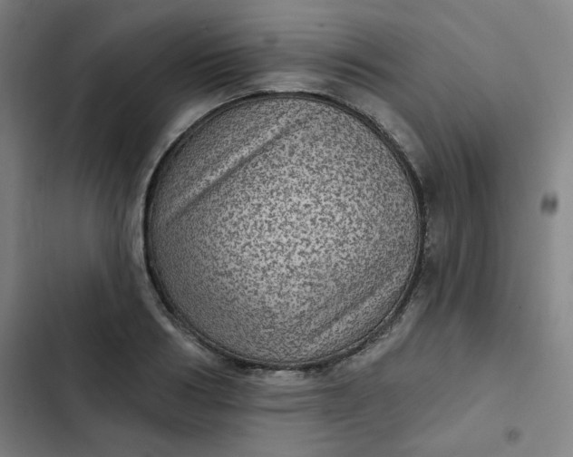 X0000102460986200808221615