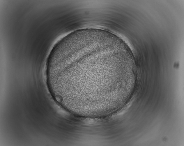 X0000102460987200808221615