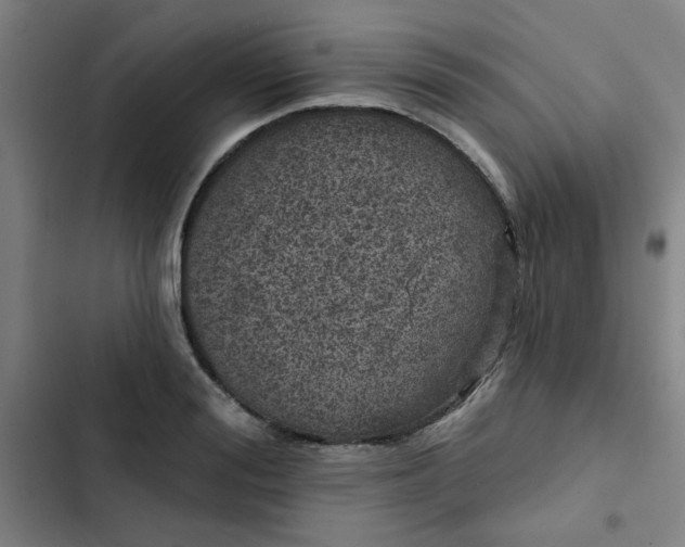 X0000102460988200808221615