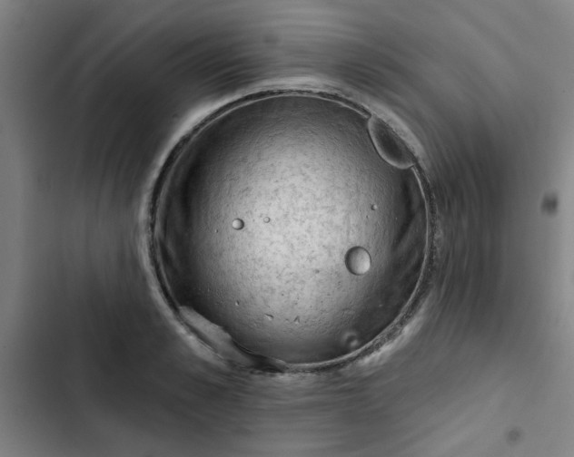 X0000102460989200808221615