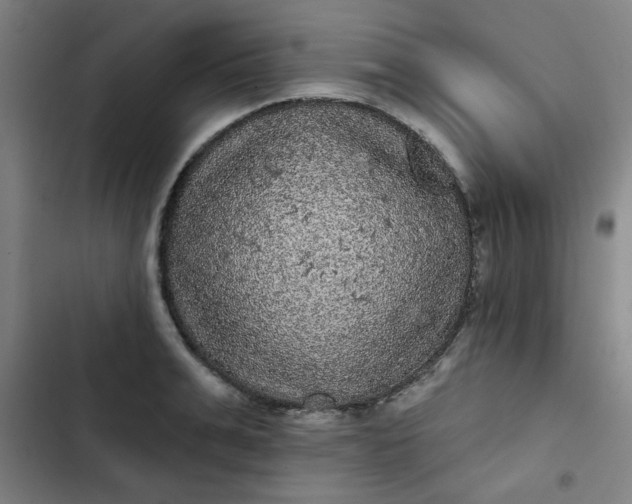 X0000102460991200808221615