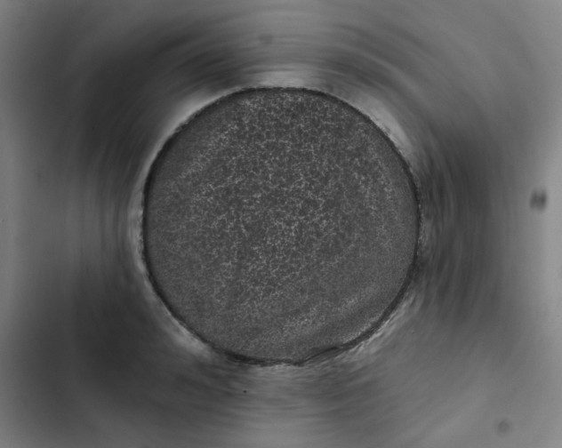 X0000102460992200808221615