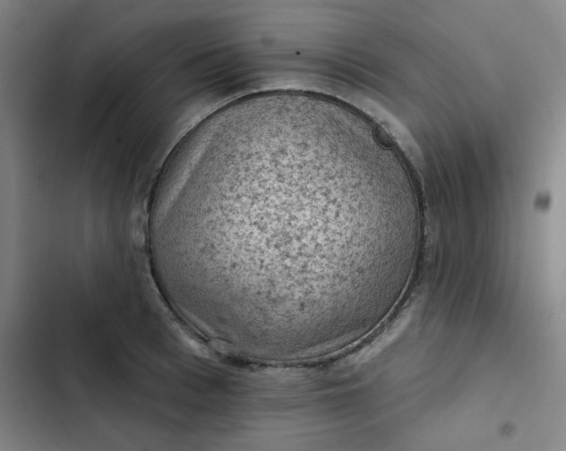 X0000102460993200808221615