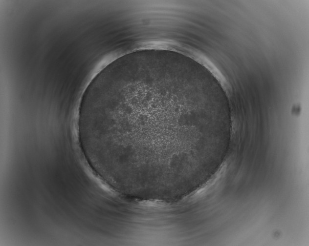 X0000102460994200808221615