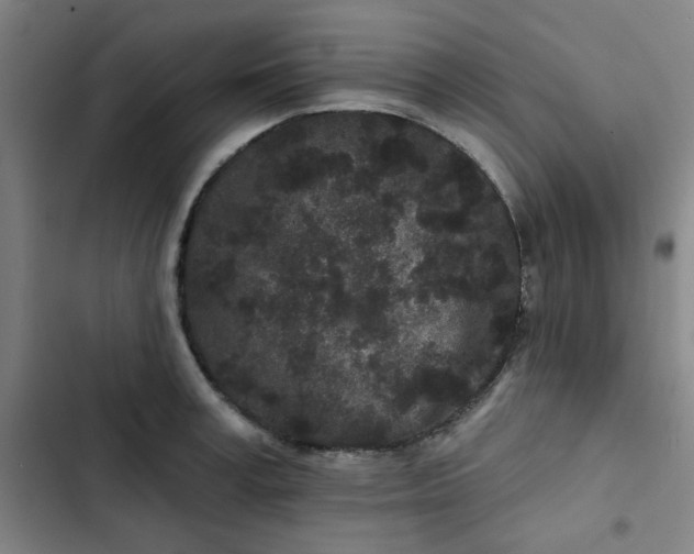 X0000102460995200808221615