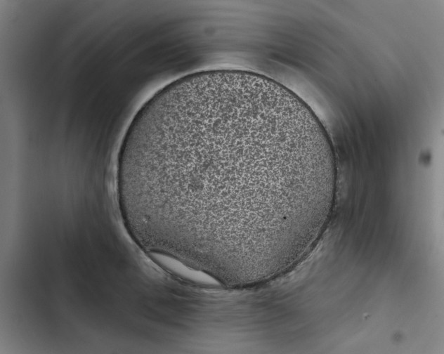 X0000102460996200808221615