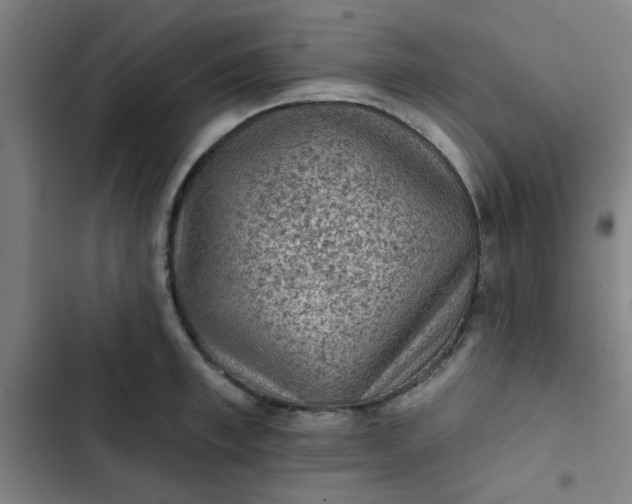 X0000102460997200808221615