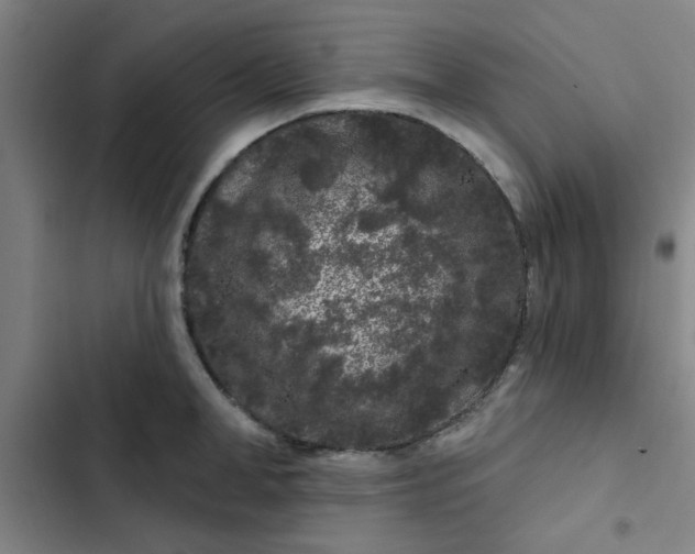 X0000102460998200808221615