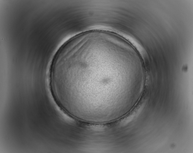 X0000102460999200808221615