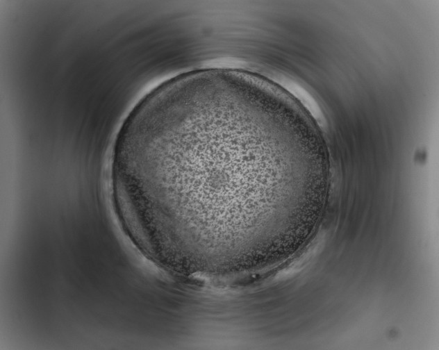 X0000102461000200808221615