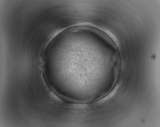 X0000102461001200808221615