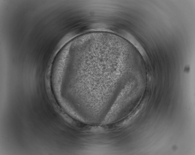 X0000102461002200808221615