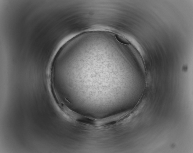 X0000102461003200808221615