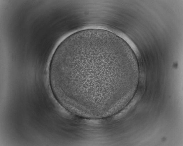 X0000102461004200808221615