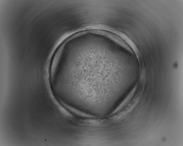 X0000102461005200808221615