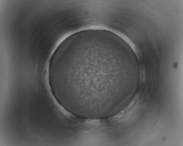 X0000102461006200808221614