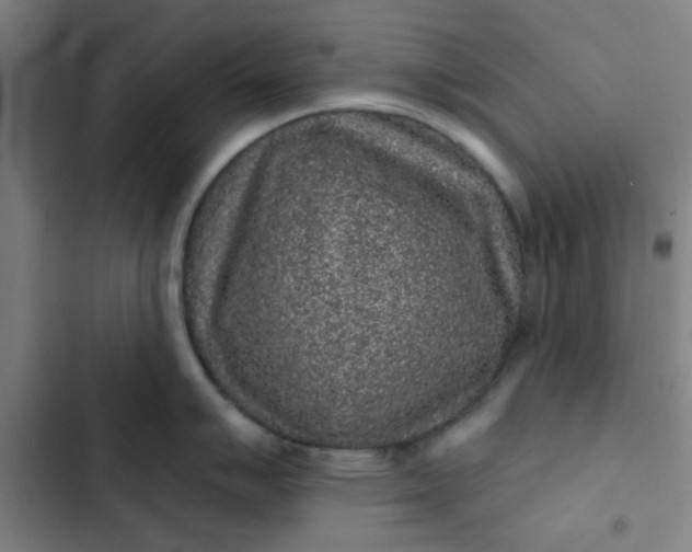 X0000102461007200808221614