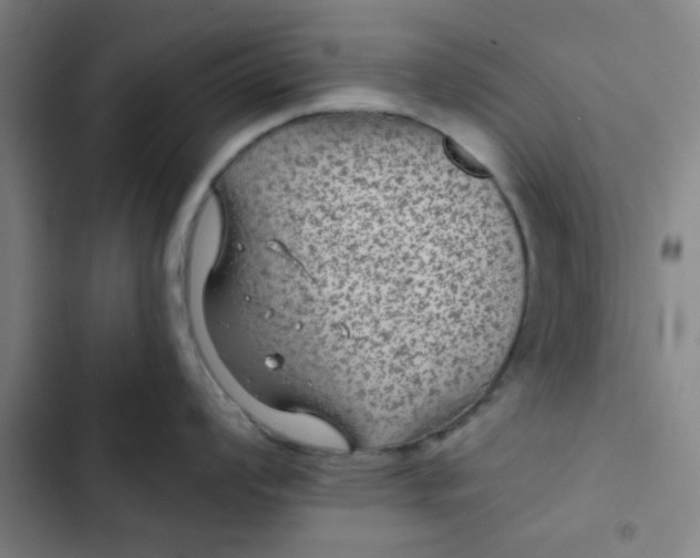 X0000102461008200808221614