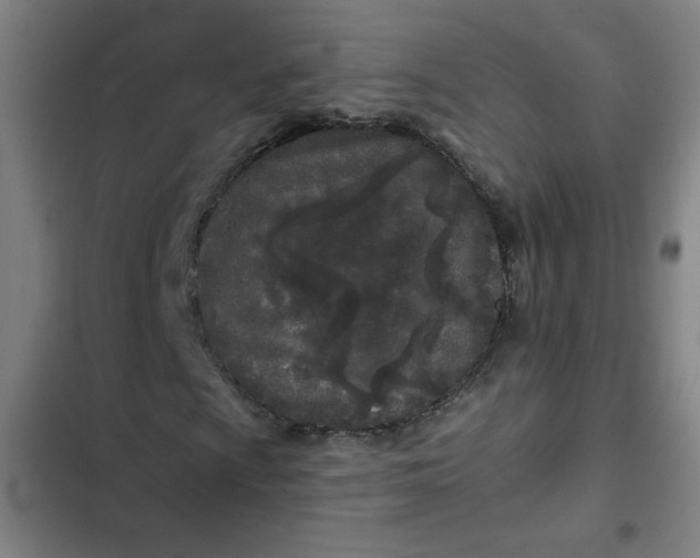 X0000102461009200808221614