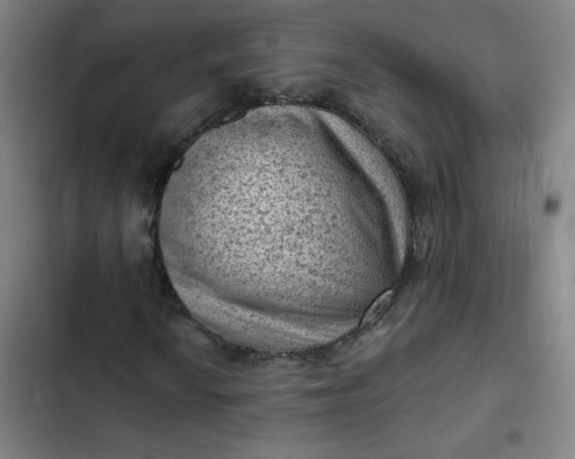 X0000102461010200808221614