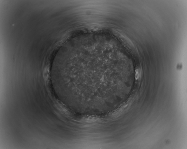 X0000102461011200808221614