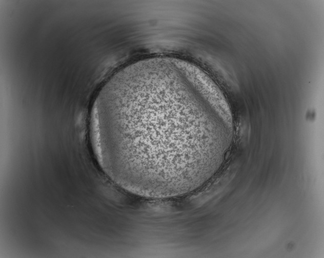 X0000102461012200808221614