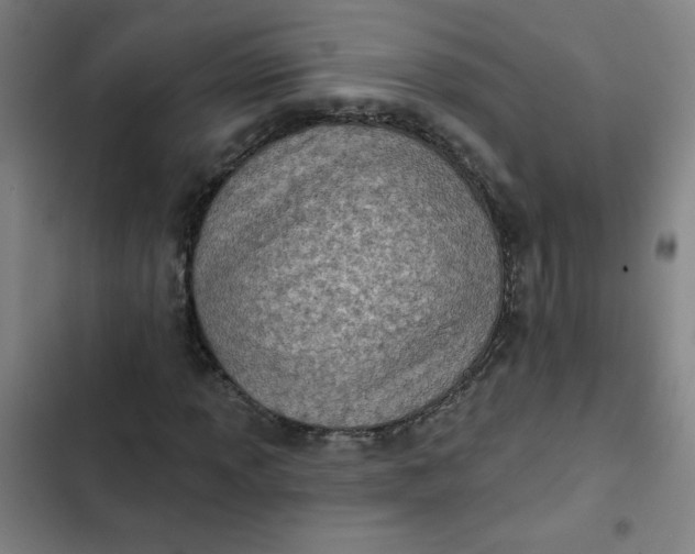 X0000102461013200808221614