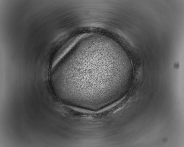 X0000102461014200808221614