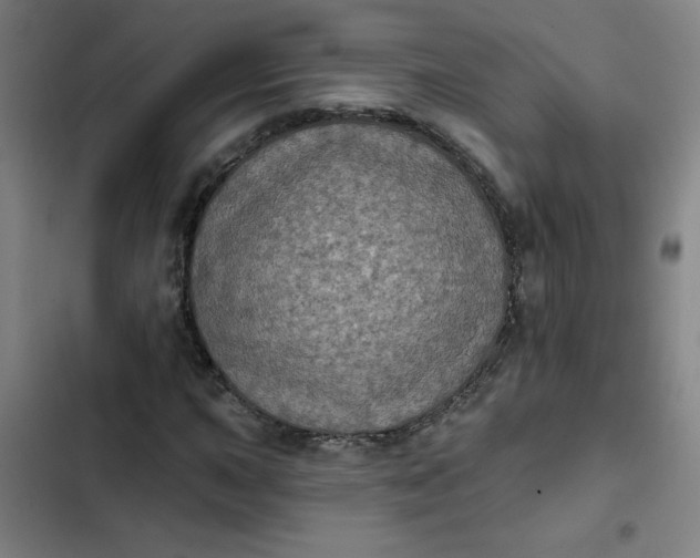 X0000102461015200808221614