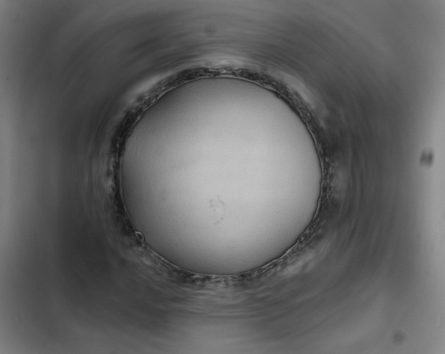 X0000102461016200808221614