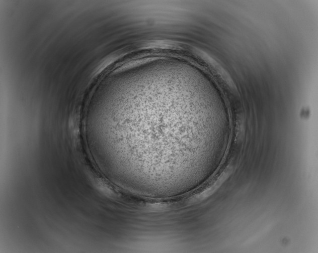 X0000102461017200808221614